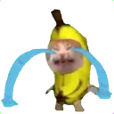 crying_banana_cat Discord Emoji