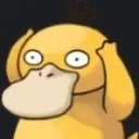 psyduck psyduck