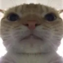 hellosir