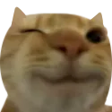 Catwink catwink Discord Emoji
