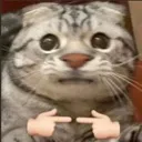 emoji_16