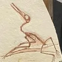 old