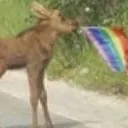 lgbdeer