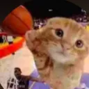 catbasketball