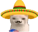 MuchoGato
