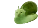 snlorping