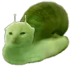 snlorp snlorp