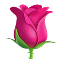 pink_rose