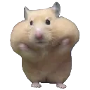 emoji_64