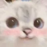 Catblush