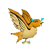 33LaughingBird