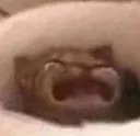 waaaa