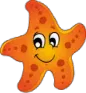 starfish starfish