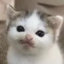 emoji_33