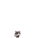 catbrick catbrick