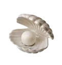 seashell