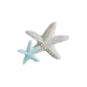 seastars
