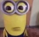 stare
