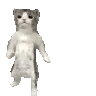 cattime2