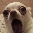 ougu