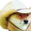 What_in_Tarnation
