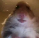 chomk