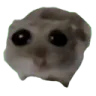 e_sadhamster