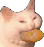 Kittynom Discord Emoji