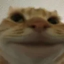 carsmile