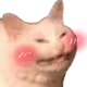 catblush