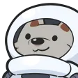 dviperSpace