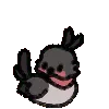 84453bird