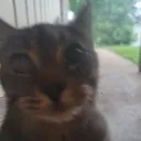 HenryStare