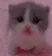 scared