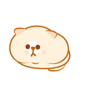 fatcat2 Discord Emoji