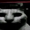 darkcate darkcate