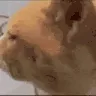 HUH
