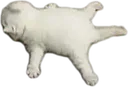 splort splort
