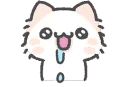 kitty_drool