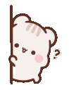 cat_pikaboo