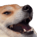 doge Discord Emoji