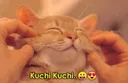 kuchikuchi