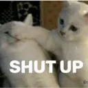 cat_shutup