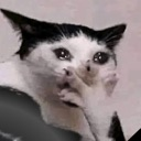 katam_smert