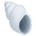 shell