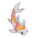 koi