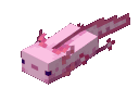 Axolotl_Swim