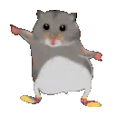 AyanDancing Discord Emoji