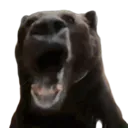 soyjakbear