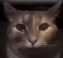 frmyguy